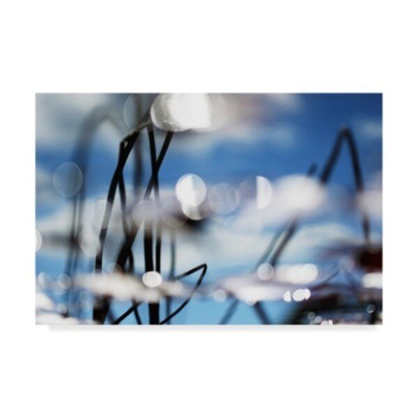 Incredi 'Silhouette Of Plant' Canvas Art, 22x32, Trademark Fine Art, Mfr#: ALI36023-C2232GG